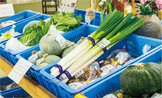 ギャラリー画像